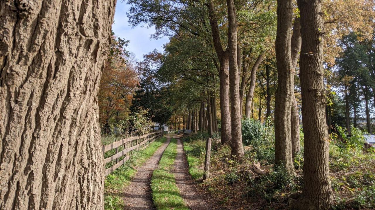 Chalet Op De Veluwe # Linde Пюттен Экстерьер фото