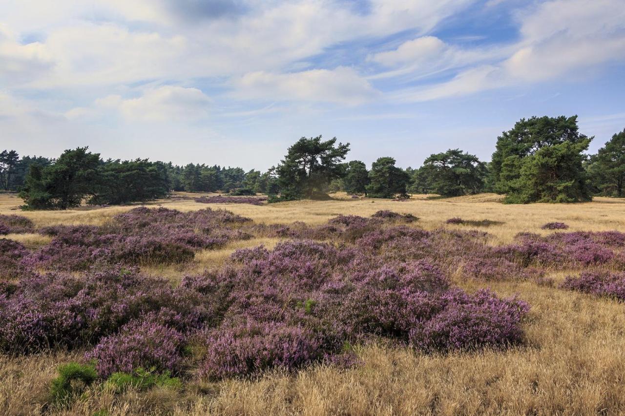 Chalet Op De Veluwe # Linde Пюттен Экстерьер фото